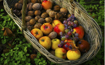 Saisonale Ernährung – Im Rhythmus der Natur essen